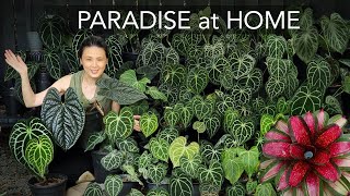 RESORT GARDEN 🌴 at HOME  DIY TROPICAL COSY BACKYARD with 8 EASY Garden Design Tips [upl. by Yroffej564]