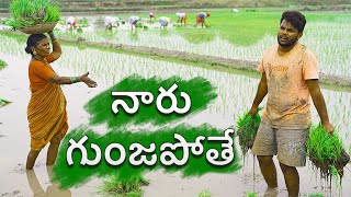 Village paddy farming  my village show sankranti special comedy [upl. by Ahsienaj876]