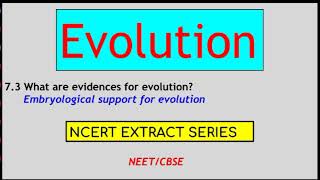 Embryological Support for evolution 73 What are evidences for evolution NEETCBSENCERTCLASS12 [upl. by Meer560]