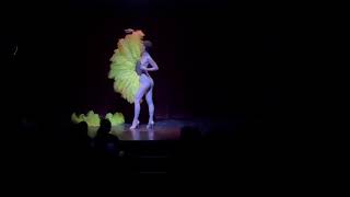 My Only Fans act Sucre dOrge burlesque fan dance [upl. by Ballard]