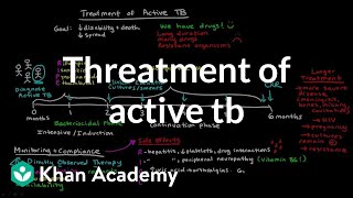 Treatment of Active TB  Infectious diseases  NCLEXRN  Khan Academy [upl. by Adnohsat]