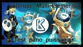 Dofus Eliotrope multiéléments  Pano puissance 200 [upl. by Wunder]