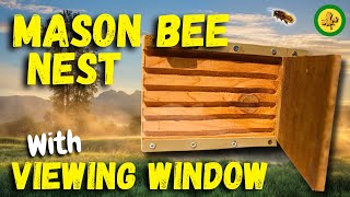 How to Build a MASON BEE VIEWING WINDOW [upl. by Kynan]