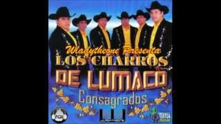 Echame A Mi La Culpa Los Charros De Lumaco Consagrados [upl. by Ahsenyl]