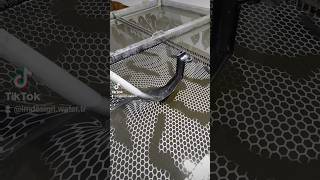 Cross bike guard hydrodipping shortvideo foryou fypシ゚viral fyp short hydrographics shortsv [upl. by Stanleigh]