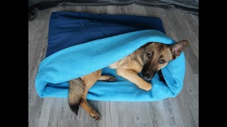 Kuschelsack Schlafsack für den Hund nähen DIY für Anfänger geeignet [upl. by Atila]