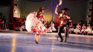 3° Cueca Campeones de arica 2014 [upl. by Akemit]