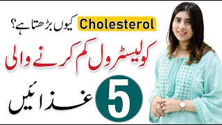 High Cholesterol Diet Plan  Causes Symptoms amp Treatment  By Hamala Khan [upl. by Cohn702]