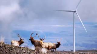 AWEA Wind Power 101 Environmental Benefits [upl. by Ithnan]