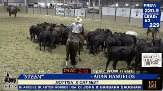 ADAN BANUELOS STEEM COCHAMPION WAY OUT WEST CUTTING SERIES IDAHO FUTURITY 2024 [upl. by Prady]