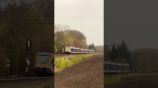 NS SNG’s passeren de Wallersteeg op de Veluwse spoorlijn [upl. by Jacquelynn26]