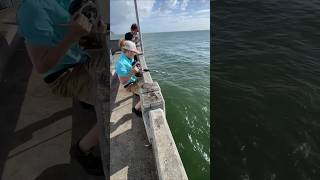 Catching a large fish is really hard shortsvideo [upl. by Fiden]