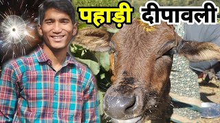 गांव की दिवाली 🪔🎇  Pahadi Lifestyle Vlog  Punit Rana [upl. by Kries]