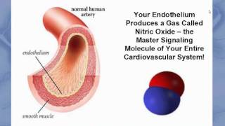 Endothelial Health Webinar [upl. by Arsuy454]