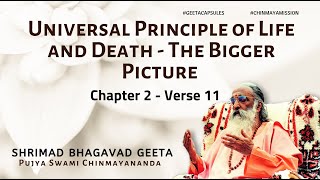 Bhagavad Geeta  Universal Principle of Life and Death  The Bigger Picture  Chapter 2 Verse 11 [upl. by Warila]