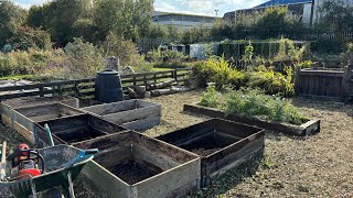 No 135  Down The Allotment Busy Doing Nothing [upl. by Fronia]