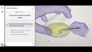 Pearson Interactive Labs  Antimicrobial Susceptibility Testing [upl. by Saixela418]