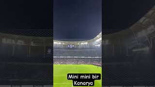 Beşiktaş taraftari eğleniyor fenerbahce [upl. by Cook]