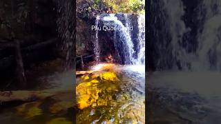 Phu Quoc island Vietnam National Park travel country nature traveling foryou shorts fyp 4k [upl. by Sinegra]