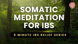 Guided Somatic Relaxation for Digestion amp IBS  5 Minute Gut Balance Meditation [upl. by Lanae884]