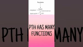 Phenylalanine catabolism mnemonic  Phenylalanine catabolism outline made easy biochemistryshorts [upl. by Bjorn]