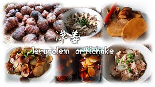 【洋薑】四種不同的吃法 Aardpeer  Jerusalem Artichoke 4 different methods to eat 洋姜 [upl. by Yboj]