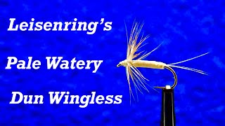 Leisenring’s Pale Watery Dun Wingless [upl. by Huntingdon]