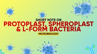 Short note  Protoplast Spheroplast amp Lform Bacteria  Microbiology [upl. by Ary]