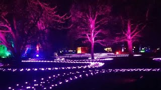 🇬🇧CHRISTMAS TRAIL AT DUNHAM MASSEY  MANCHESTER UNITED KINGDOM  CHRISTMAS LIGHTS 🇬🇧 [upl. by Ardnohs]