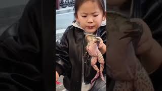 Left right confusion 😂🤣 short ytshots funny frog [upl. by Zosima]