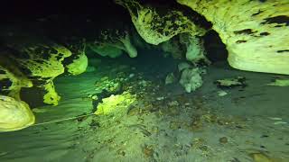 Ginnie Springs Cave Dive [upl. by Neddra678]