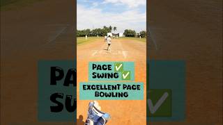 170K views thank you cricket goprocricket yt ytshorts trendingshorts trending [upl. by Taddeusz]