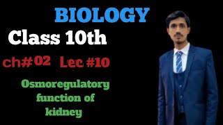 Osmoregulatory function of kidney class 10th Biology Chapter 03 Lecture 10 [upl. by Yerdua]