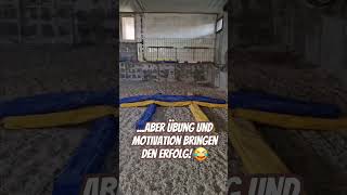 Das erste Spingtraining für Bellamie 🤩 minishetty [upl. by Alejo]