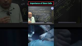 Stem Cells biotechnology civilserviceexam scienceandtechnology [upl. by Helve730]