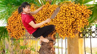 Harvest Arecaceae yellow grapes amp Cook fried rice with Arecaceae Goes to market sell [upl. by Eerdna]