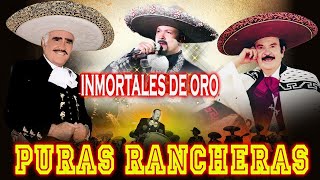 RANCHERAS MEXICANAS VIEJITAS VICENTE FERNÁNDEZ ANTONIO AGUILAR PEPE AGUILAR MIX 2024 [upl. by Valdas852]