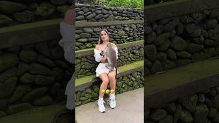 The animals 😂🤣 Fails funnyanimals animalsfunny pets shorts [upl. by Glarum885]