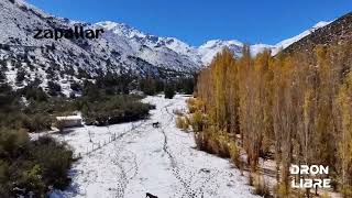 Zapallar 🇨🇱 SALAMANCA 🌲🦅🌲 DRON LIBRE 🇨🇱 2024 [upl. by Lenzi]