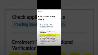 E Passport Pending Backend Verification PendingBackendVerification [upl. by Yager]