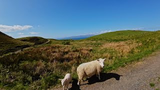 Highlight Stunning Day on the Isle of Kerrera Isle of Kerrera Scotland [upl. by Llenroc544]