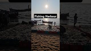 Fishing Harbour malayalam song shortsvideo viralvideo [upl. by Lawler259]