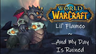 World of Warcraft Pet Lil Flameo And My Day Is Ruined [upl. by Zach532]