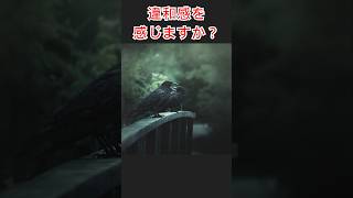 【意味怖】違和感クイズ！！ 意味怖 フィクション 意味が分かると怖い 都市伝説 不思議 雑学 恐怖 恐ろしい 間違い探し パズル 脳トレ クイズ IQ 頭の体操 [upl. by Crisey]