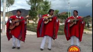 LOS BOHEMIOS DEL CUSCO Maras plazapi Huayno [upl. by Yekim]