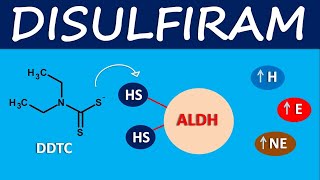 Disulfiram  Mechanism side effects and uses [upl. by Monjo]