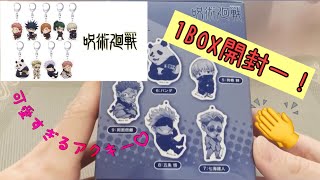 【呪術廻戦】アクリルキーホルダー1BOX開封 [upl. by Yve764]