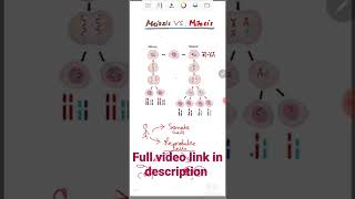 Meiosis vs Mitosis  Class 11 biology [upl. by Ahsikel]