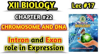 Role of Introns and Exon in Gene Regulation  lec 17 Chromosomes and DNA class 12 [upl. by Atnoek]