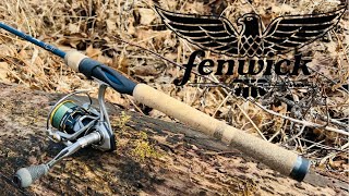 Fenwick eagle casting rod review my multi species rod [upl. by Ide971]